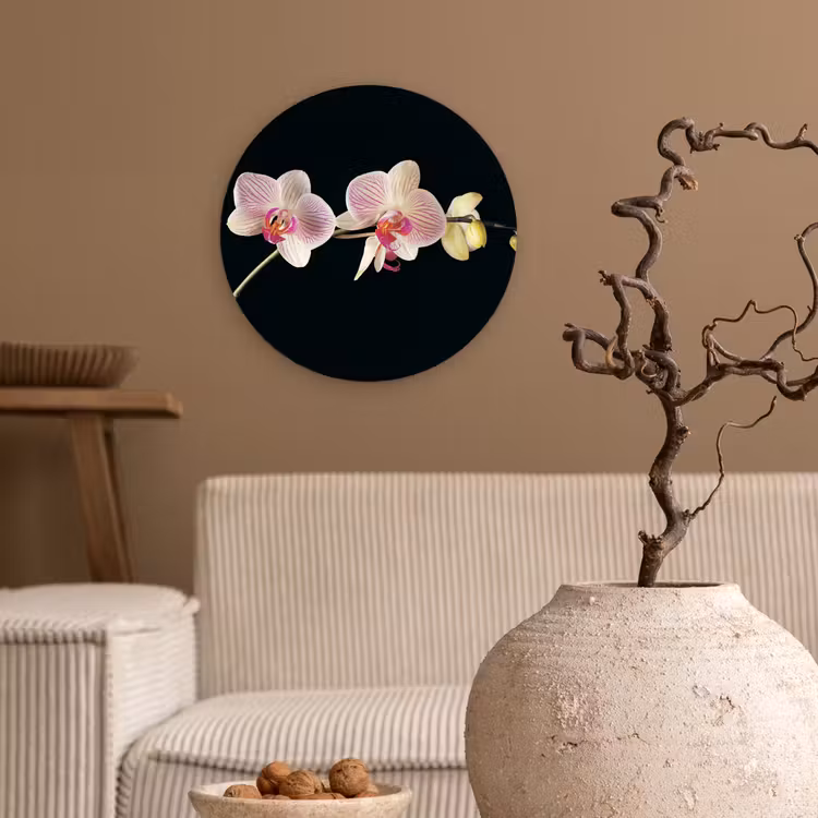 Muurcirkel - Orchidee - Bloemen - Zwart - Roze - Knoppen — 2