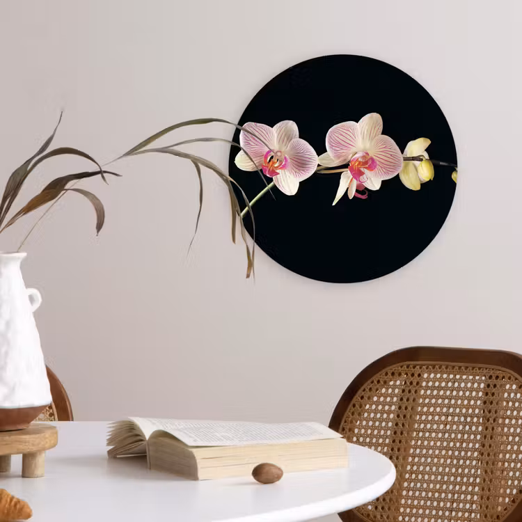 Muurcirkel - Orchidee - Bloemen - Zwart - Roze - Knoppen — 4