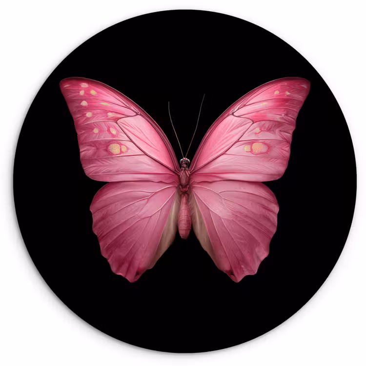 Muurcirkel - Vlinder - roze - Elegant — 1