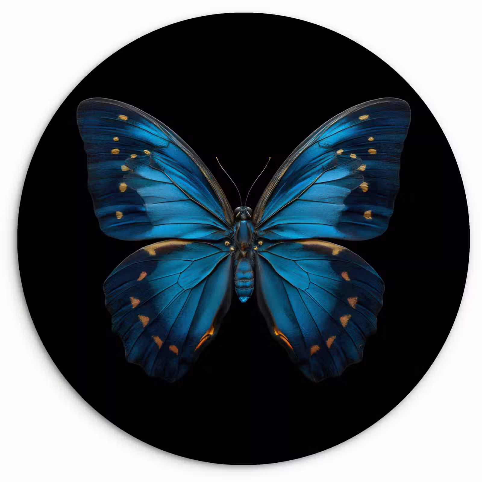 Muurcirkel - Vlinder - Blauw - Contrast — 1
