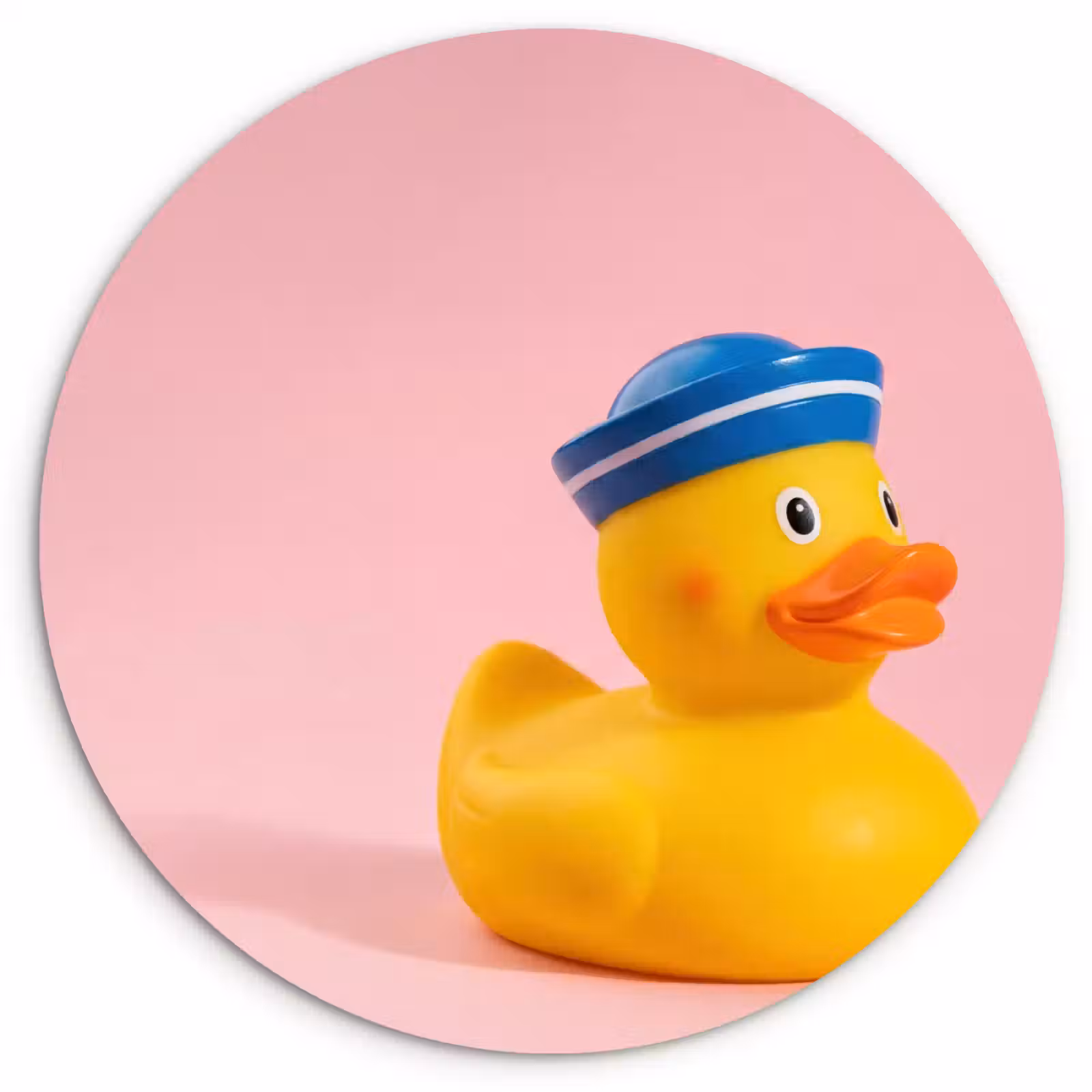 Muurcirkel - Matroos - Eend - Roze — 1