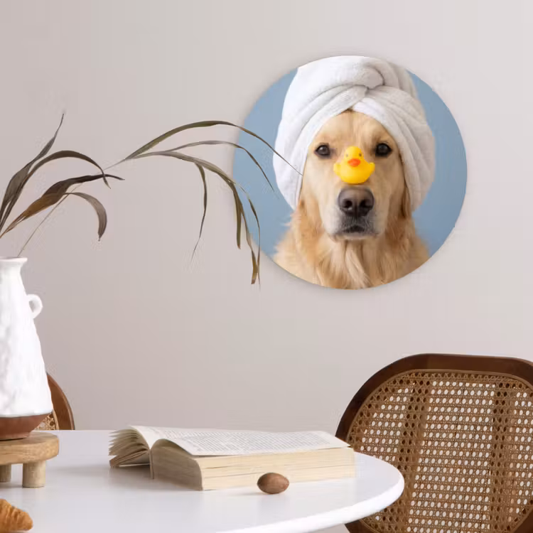 Muurcirkel - Hond - Badeend - Geel — 4