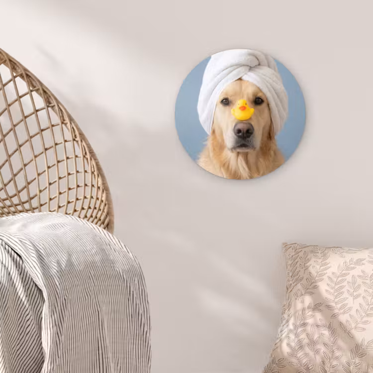 Muurcirkel - Hond - Badeend - Geel — 5