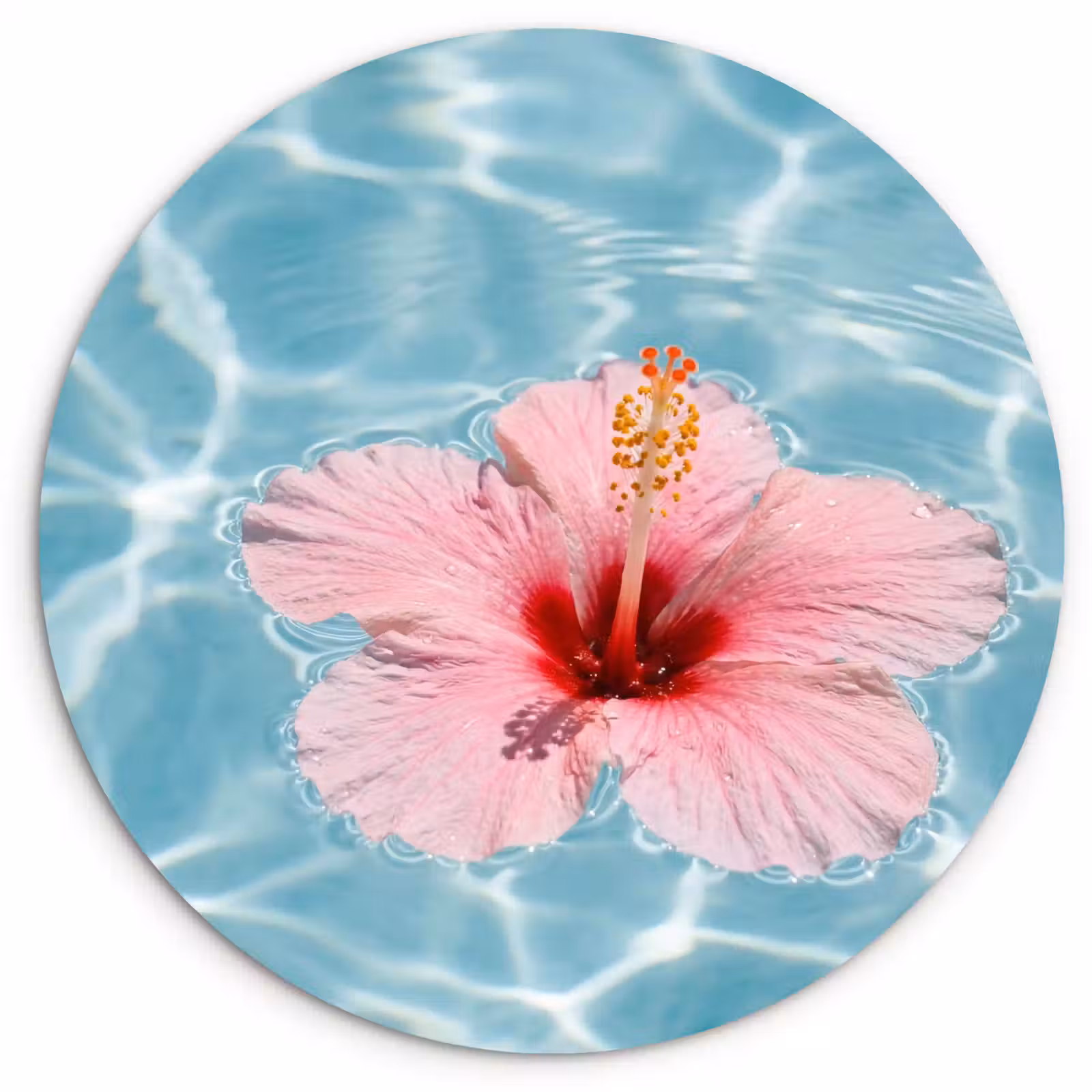 Muurcirkel - Hibiscus - Water - Roze — 1
