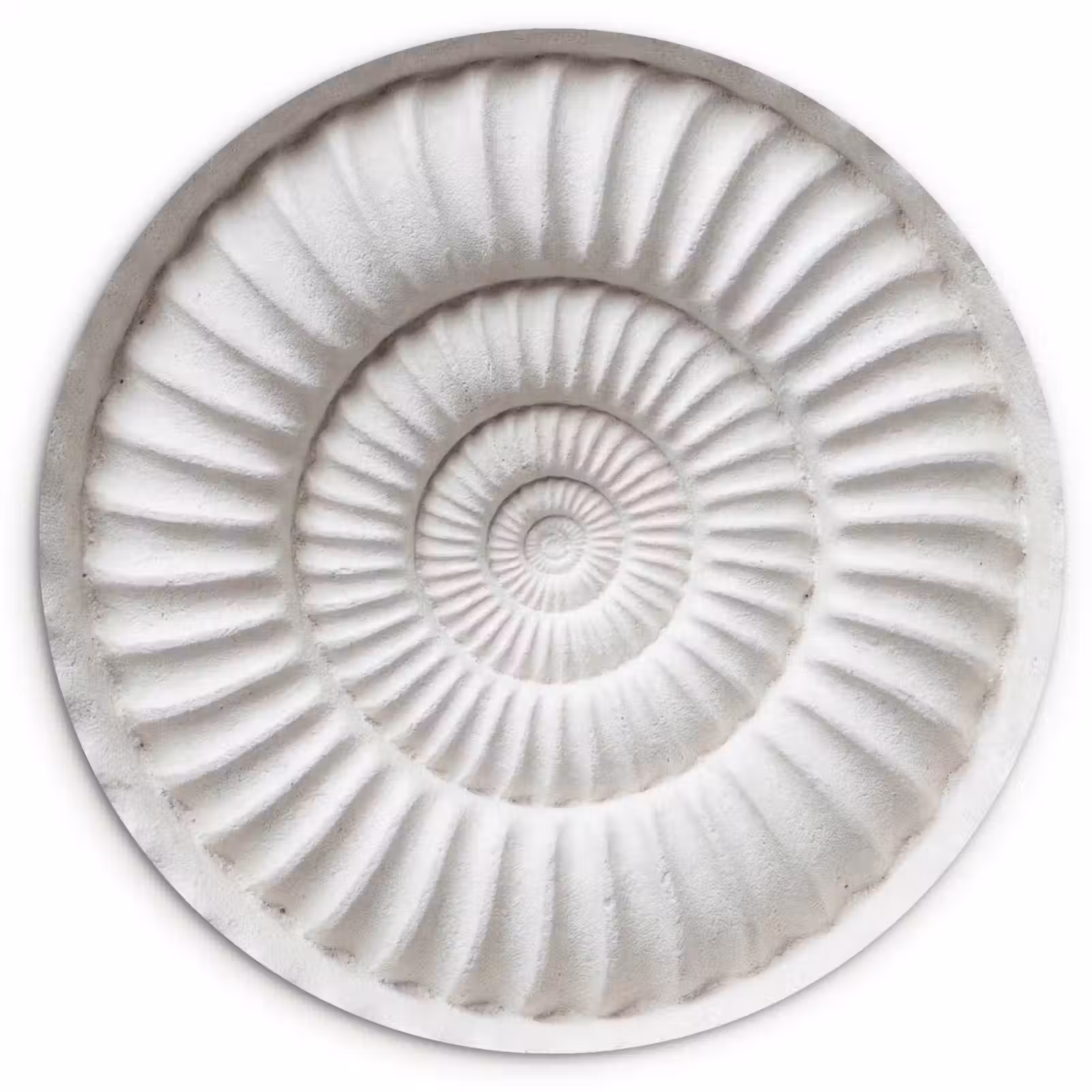 Muurcirkel - Schelp - Spiraal - Wit — 1