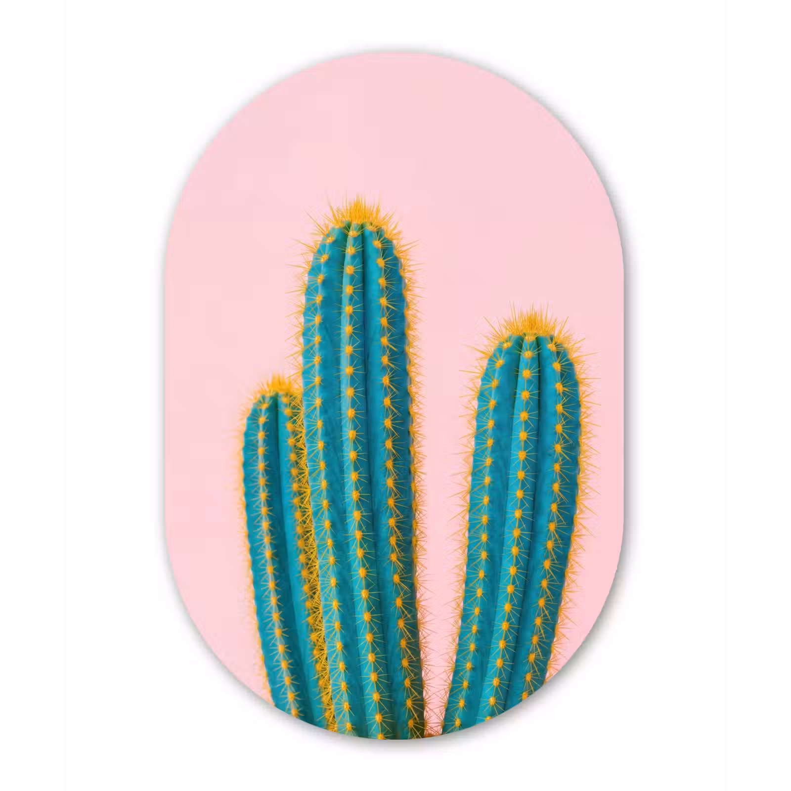 Muurovaal aluminium - Cactussen - Modern - Pastel — 1