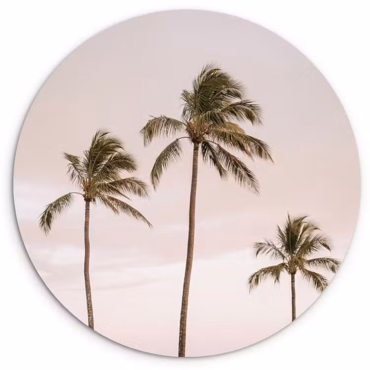 Muurcirkel - Palmbomen - Zonsondergang - Roze — 1