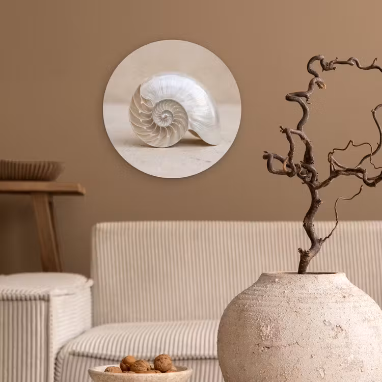 Muurcirkel - Schelp - Spiraal - Beige — 2