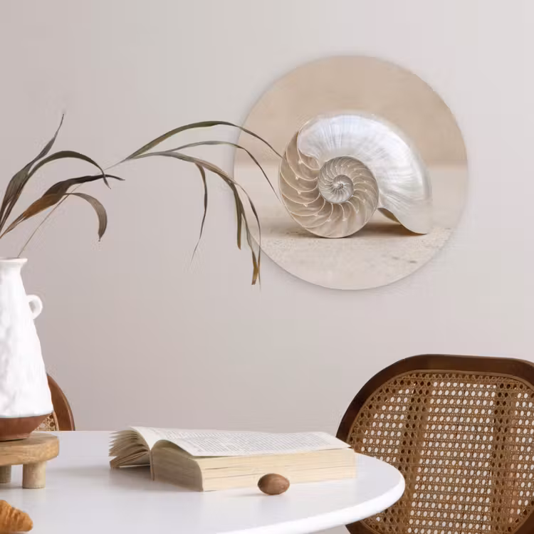 Muurcirkel - Schelp - Spiraal - Beige — 4