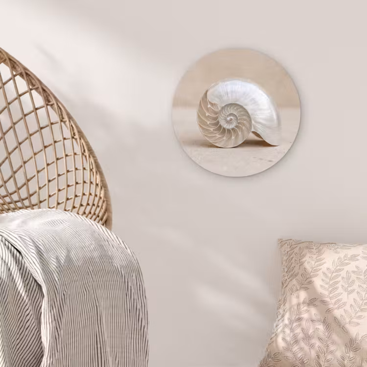 Muurcirkel - Schelp - Spiraal - Beige — 5
