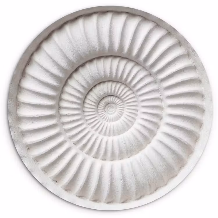 Muurcirkel - Schelp - Spiraal - Wit — 1