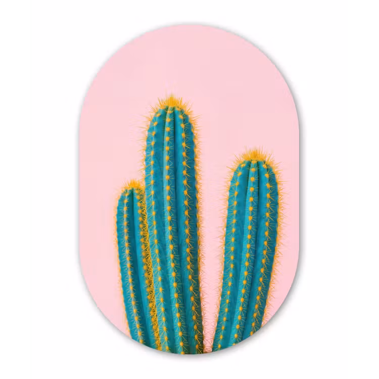 Muurovaal aluminium - Cactussen - Modern - Pastel — 1