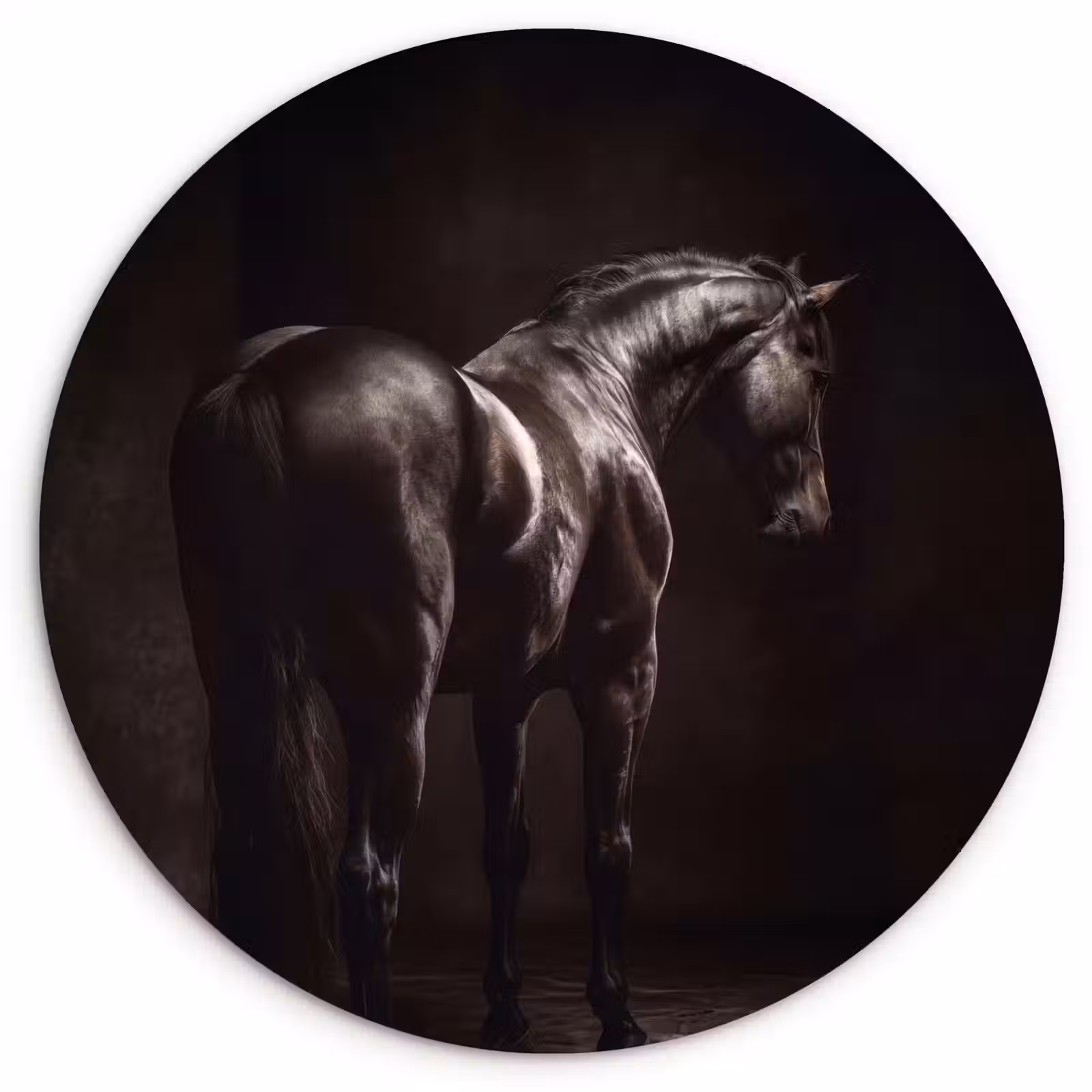 Muurcirkel - Krachtig - Paard - Donker — 1