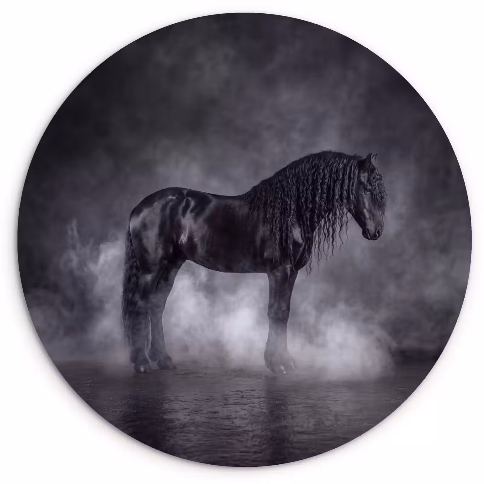 Muurcirkel - Paard - Magisch - Zwart — 1