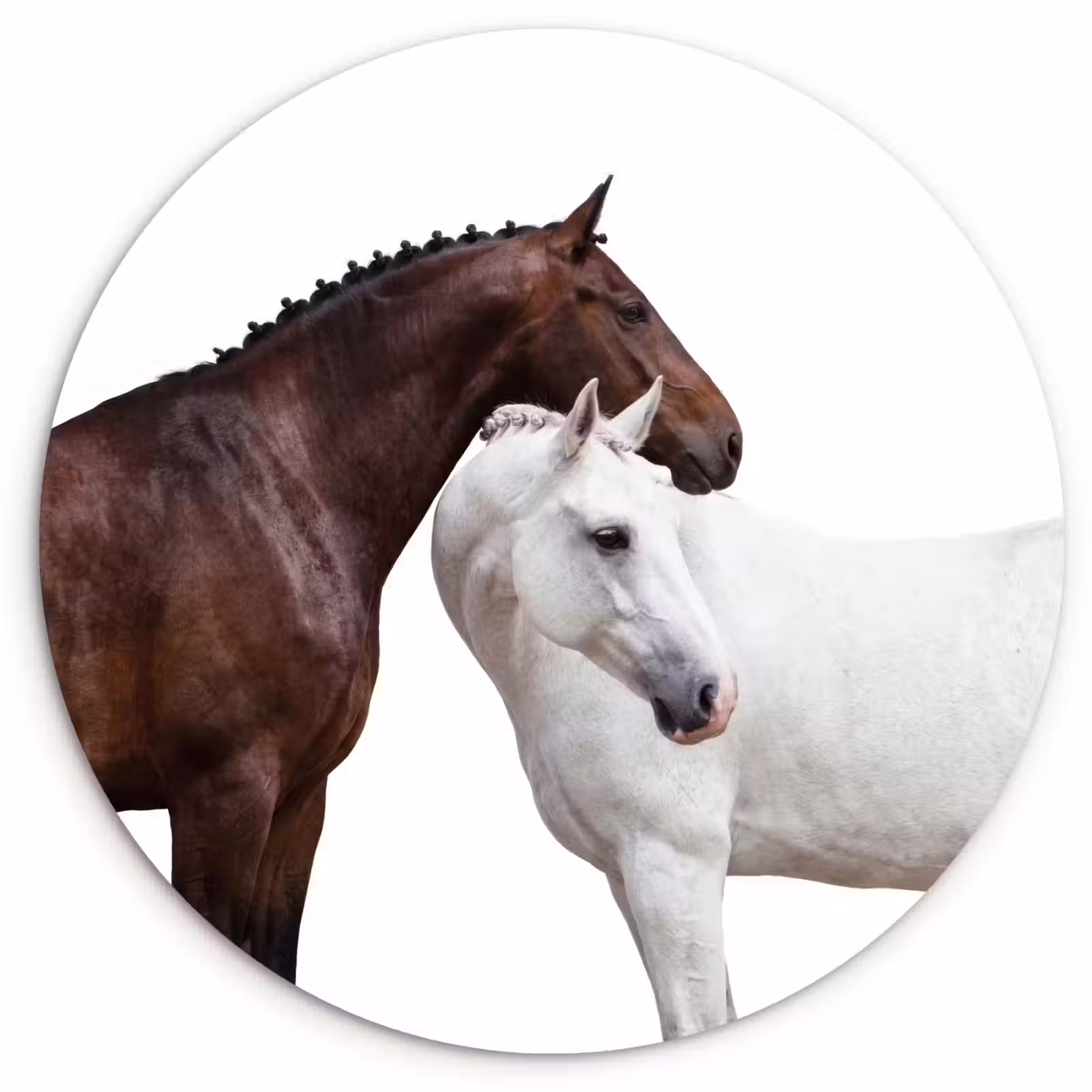 Muurcirkel - Paard - Modern - Balans — 1