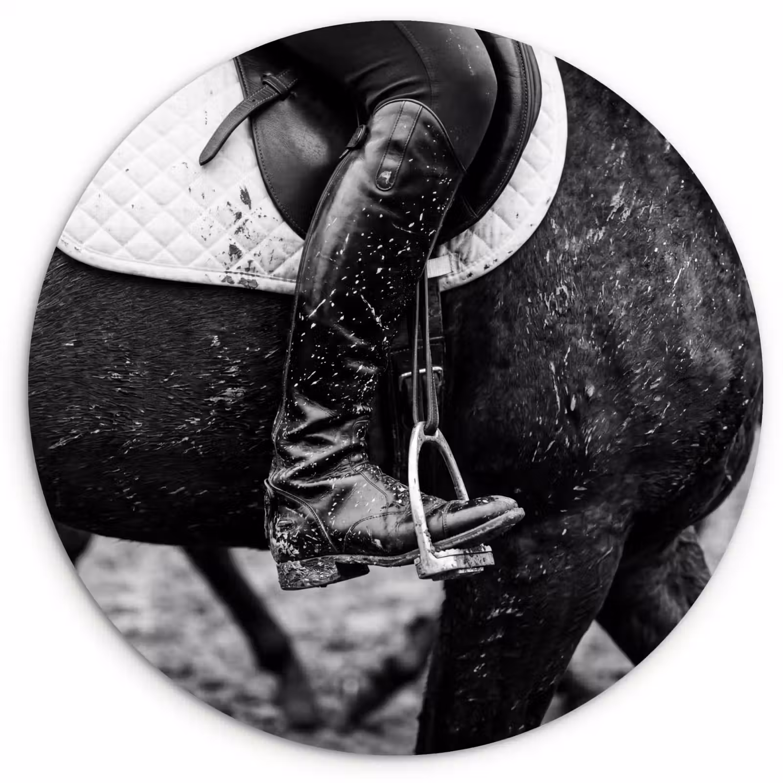 Muurcirkel - Paard - Sport - Zwart - Wit — 1