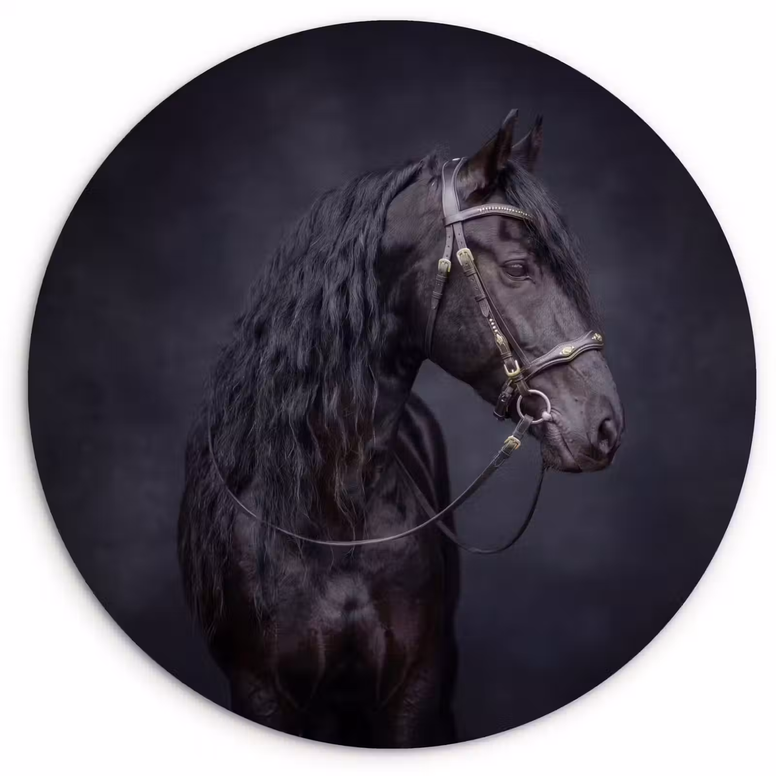 Muurcirkel - Portret - Paard - Donker — 1