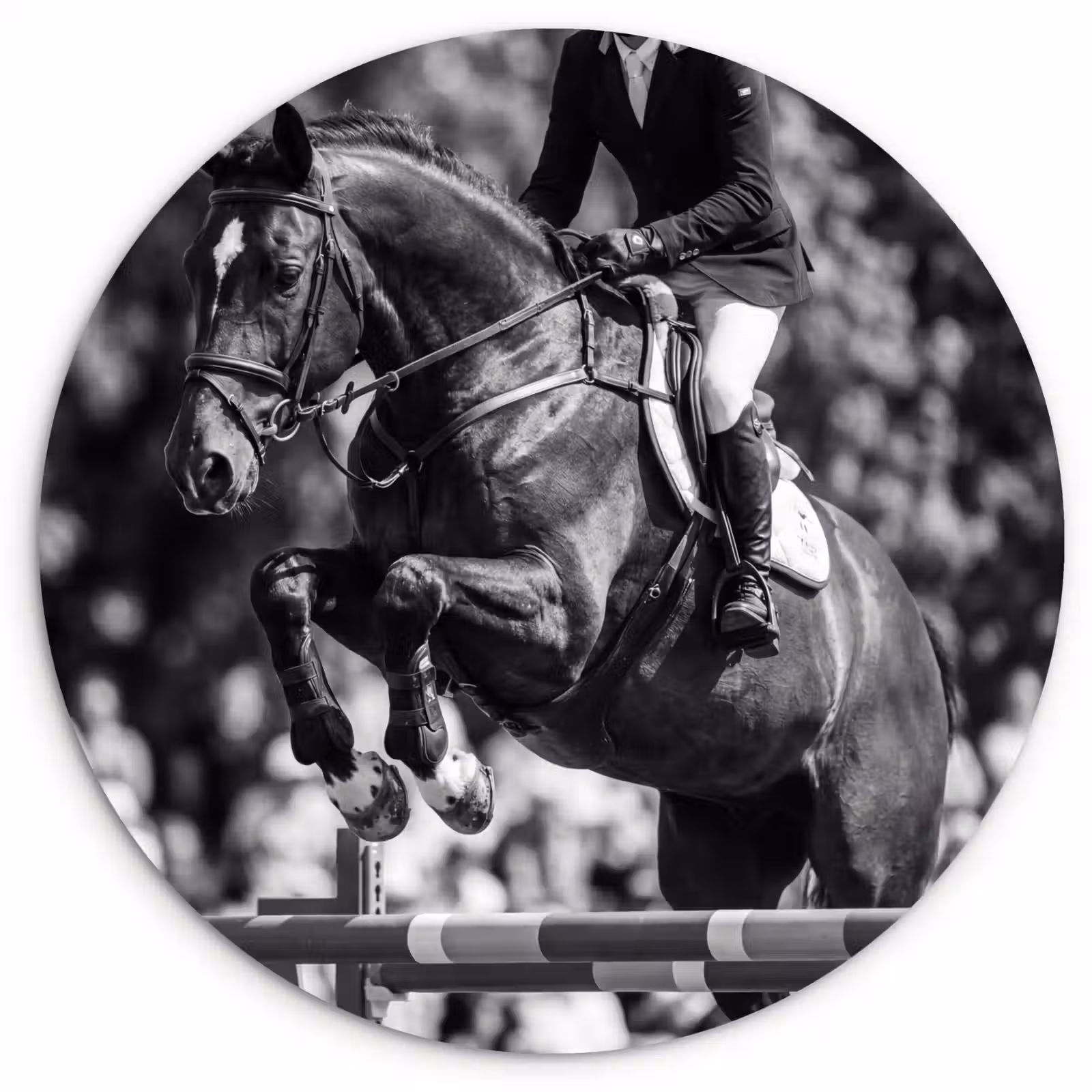 Muurcirkel - Springen - Paard - Zwart - Wit — 1