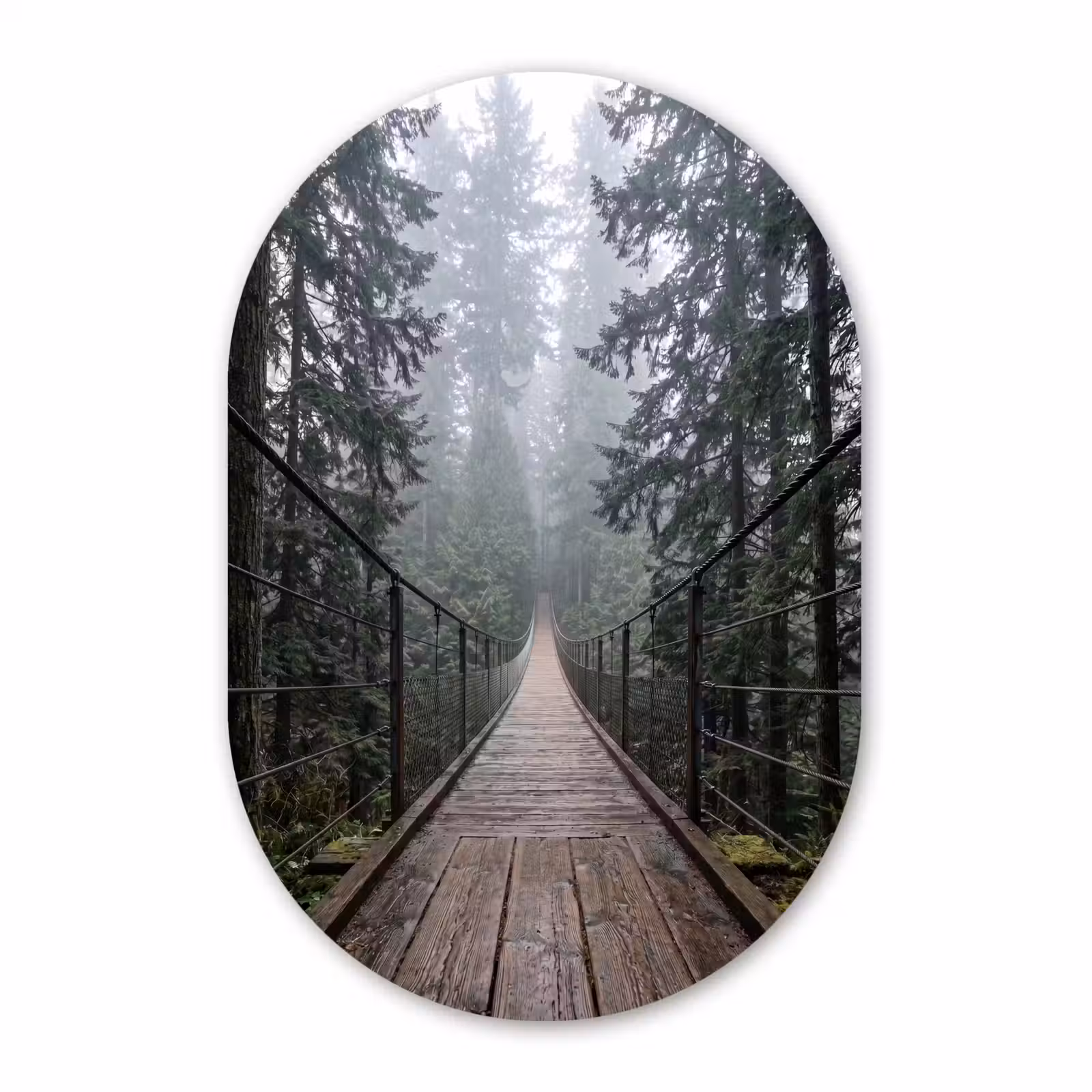 Muurovaal aluminium - Brug - Bos - Mist - Natuur — 1