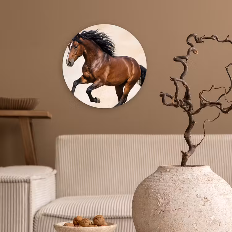 Muurcirkel - Paard - Galop - Energie — 2