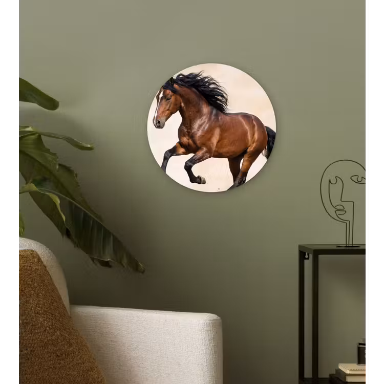 Muurcirkel - Paard - Galop - Energie — 3