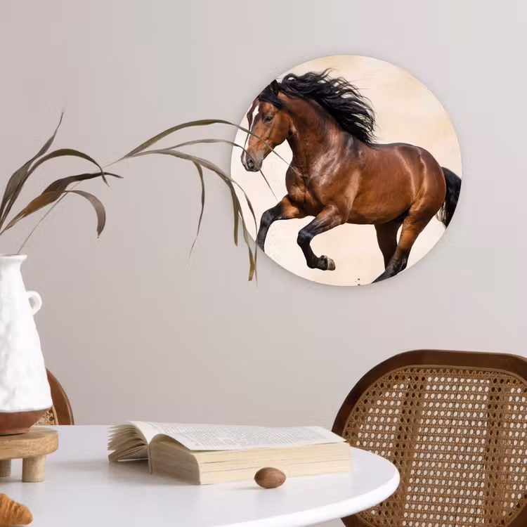 Muurcirkel - Paard - Galop - Energie — 4