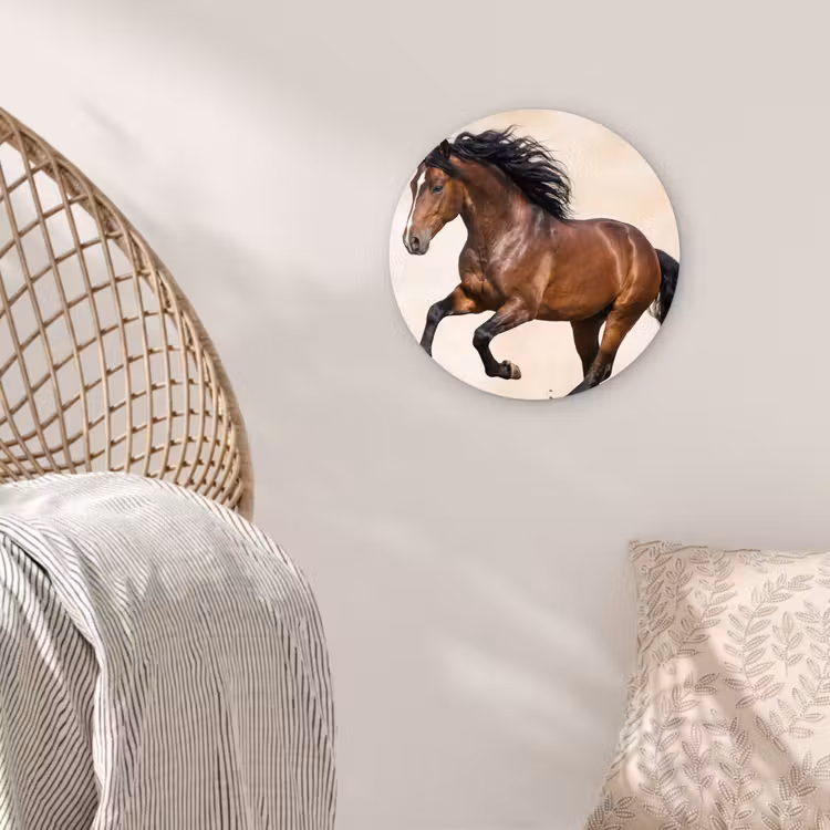 Muurcirkel - Paard - Galop - Energie — 5