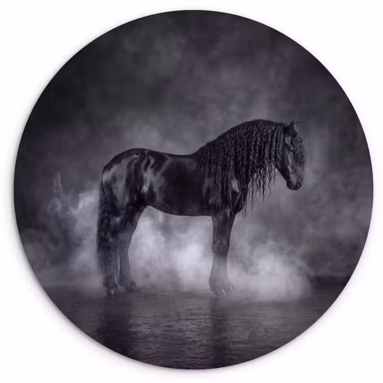 Muurcirkel - Paard - Magisch - Zwart — 1