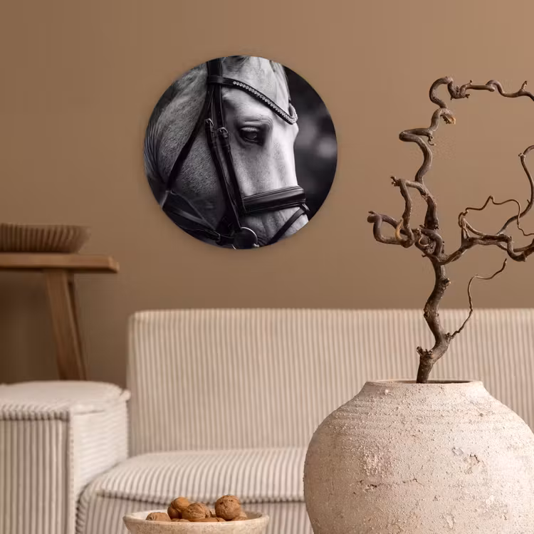 Muurcirkel - Paard - Schimmel - Portret — 2