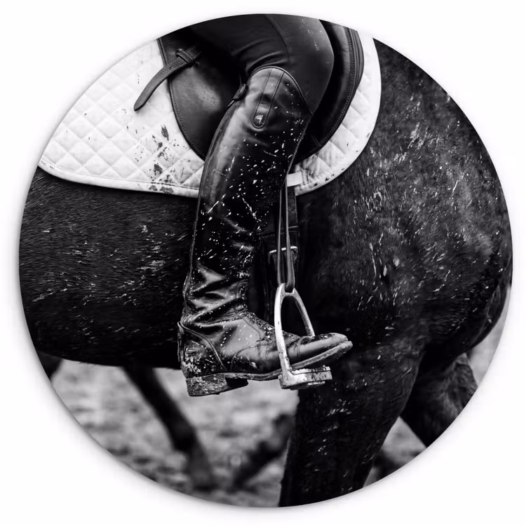 Muurcirkel - Paard - Sport - Zwart - Wit — 1