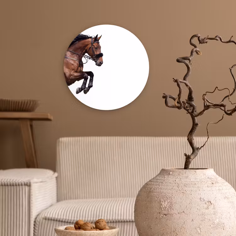 Muurcirkel - Paard - Springen - Modern — 2