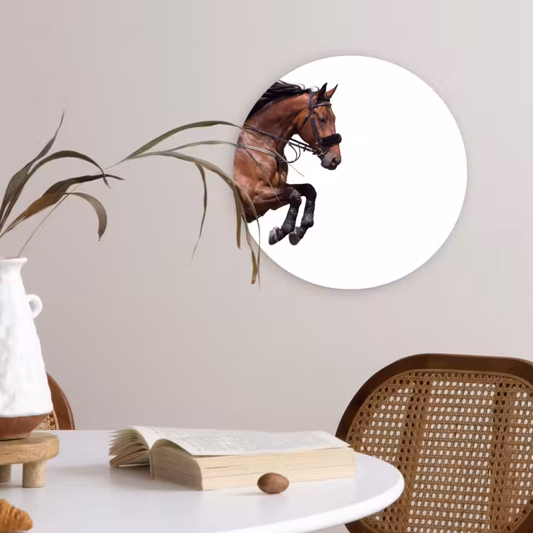 Muurcirkel - Paard - Springen - Modern — 4
