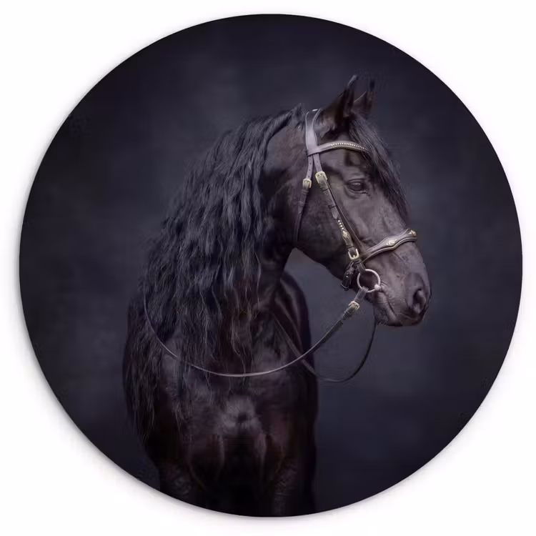 Muurcirkel - Portret - Paard - Donker — 1