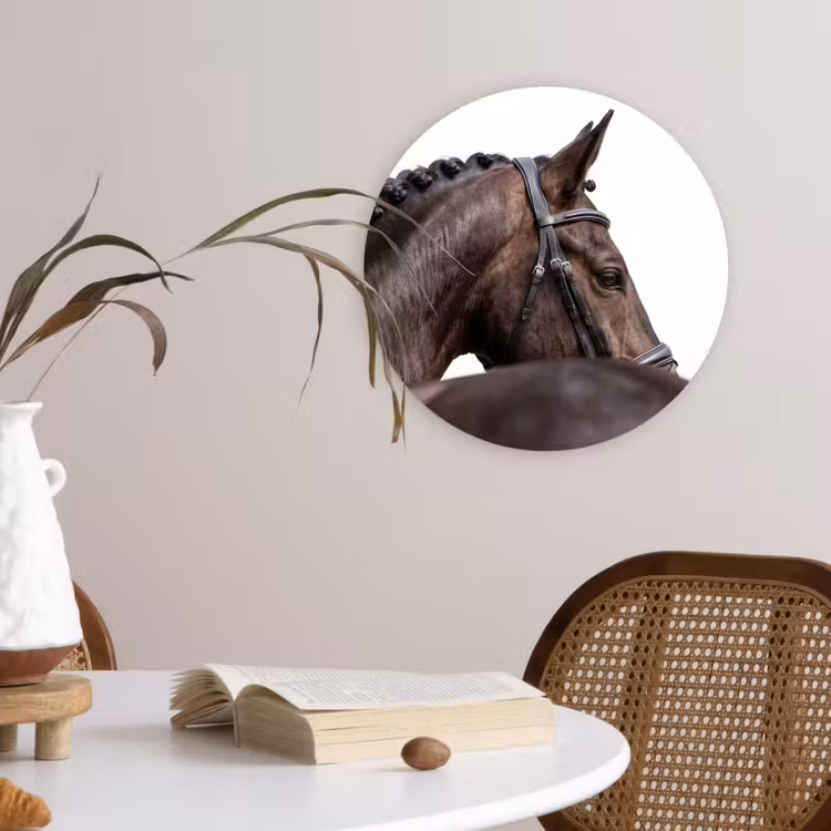 Muurcirkel - Portret - Paard - Elegant — 4