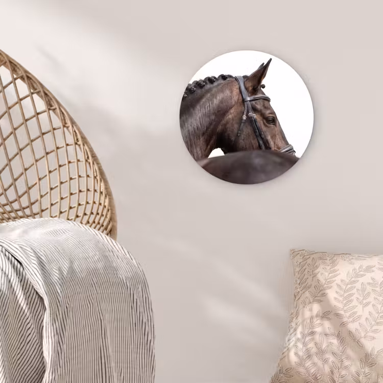 Muurcirkel - Portret - Paard - Elegant — 5