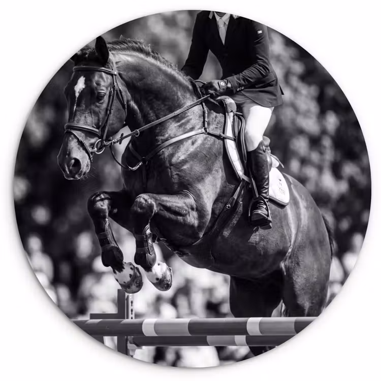 Muurcirkel - Springen - Paard - Zwart - Wit — 1