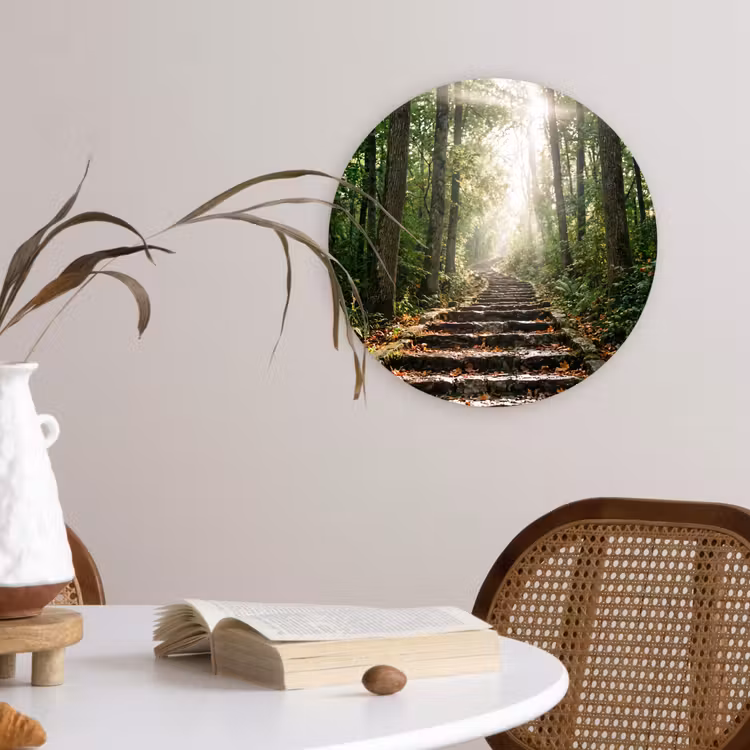 Muurcirkel - Stenen - Trap - Bos - Natuur — 4