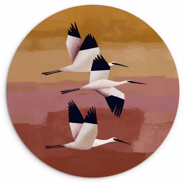 Muurcirkel - Vogels - Snavel - Abstract — 1