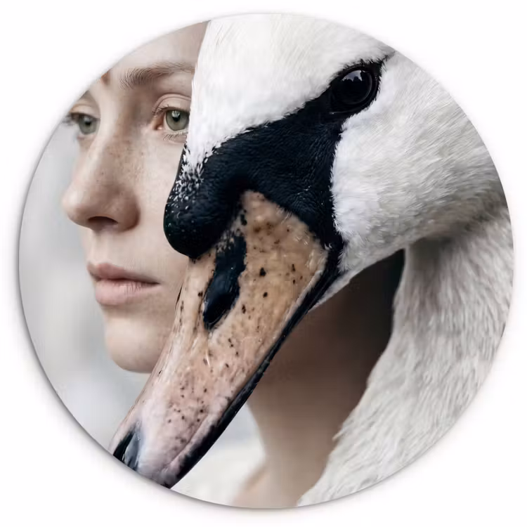 Muurcirkel - Vrouw - Zwaan - Wit — 1