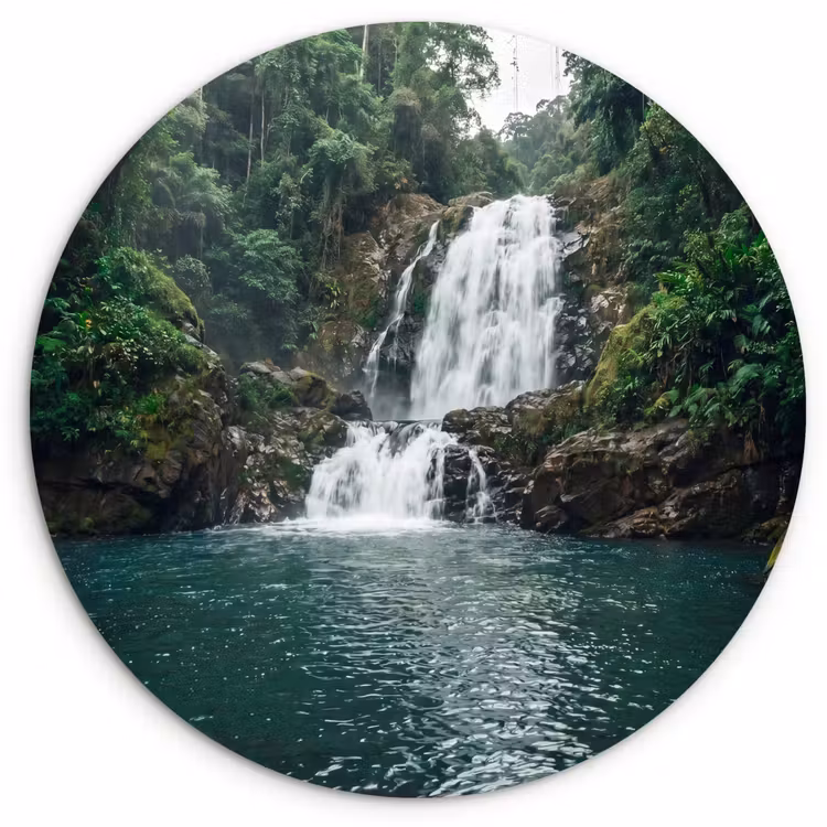 Muurcirkel - Waterfall - Forest - Nature - Greenkhgyguyg — 1