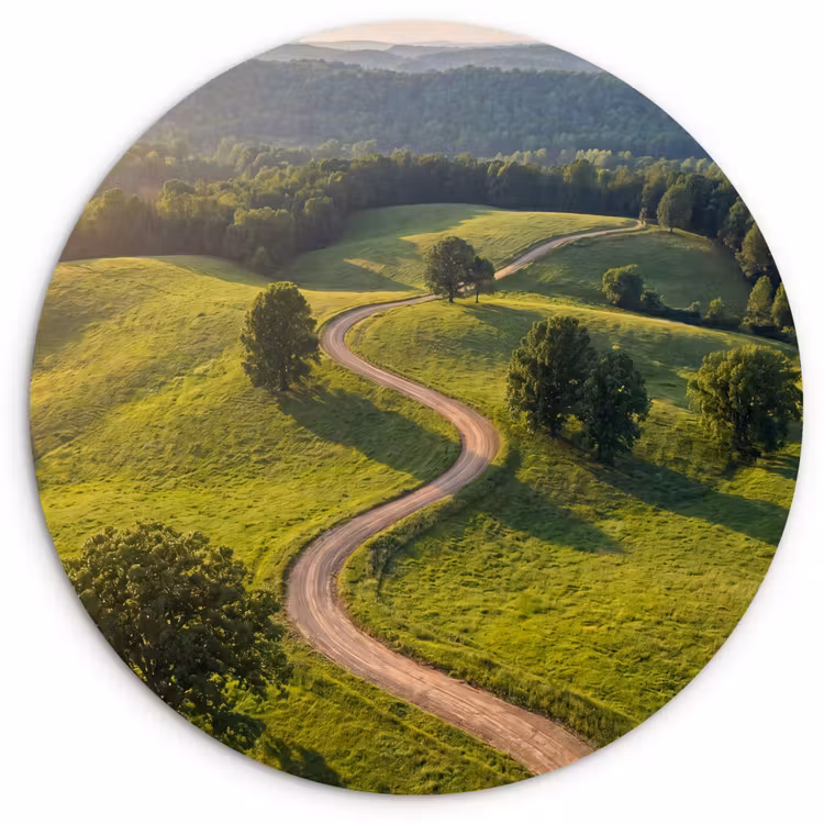 Muurcirkel - Weg - Weide - Natuur - Groen — 1