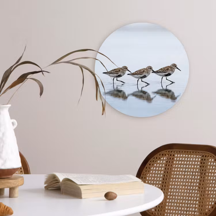 Muurcirkel - Vogels - Water - Grijs — 4
