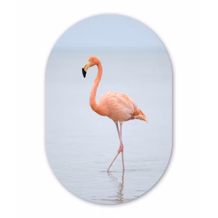 Muurovaal aluminium - Flamingo - Zee - Roze — 1