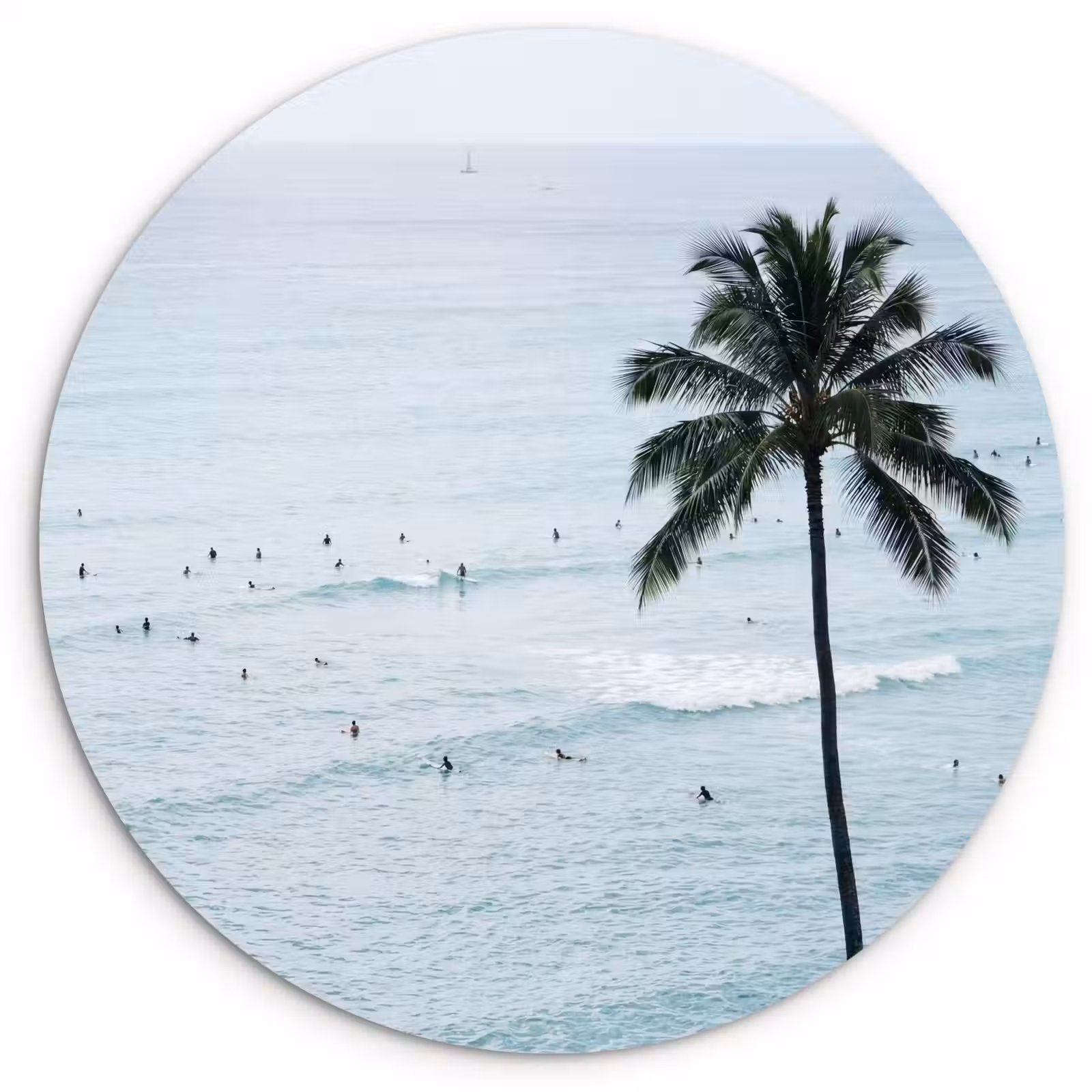 Muurcirkel - Oceaan - Palmbomen - Surfers — 1