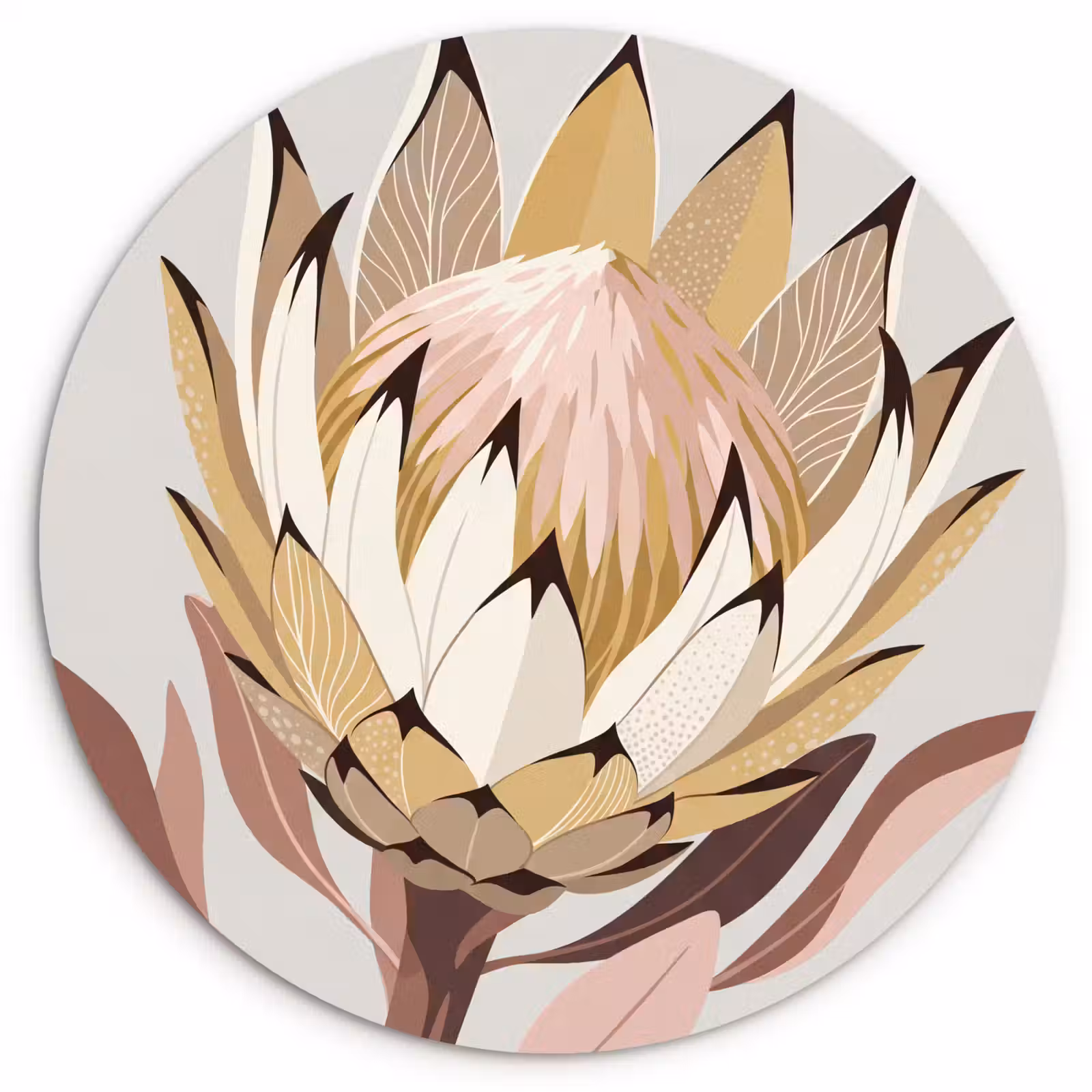 Muurcirkel - Protea - Bloem - Botanisch - Beige — 1