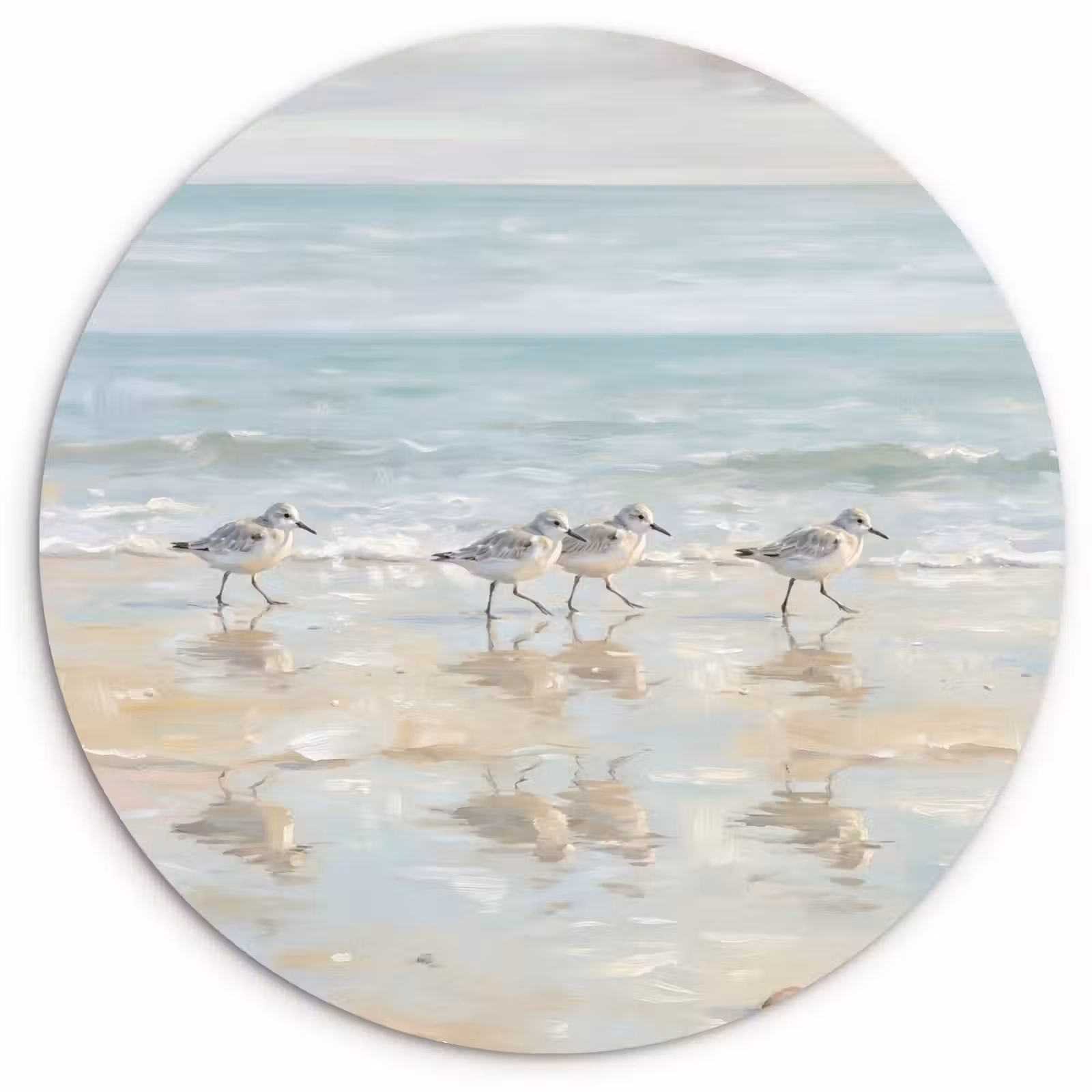 Muurcirkel - Vogels - Strand - Zee — 1