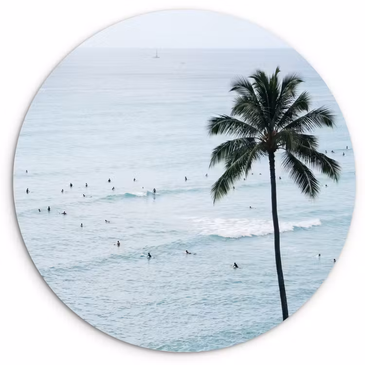 Muurcirkel - Oceaan - Palmbomen - Surfers — 1