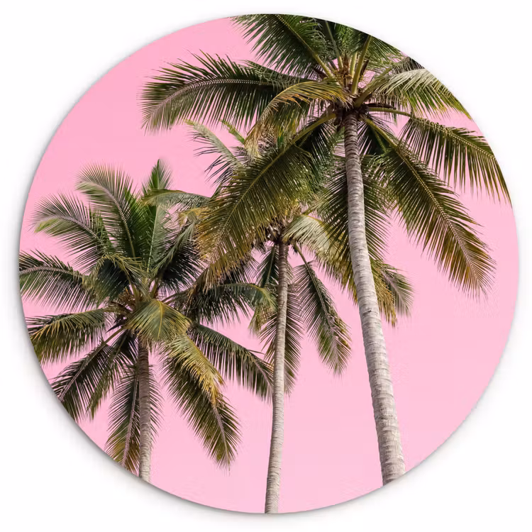 Muurcirkel - Palmboom - Tropisch - Pink — 1