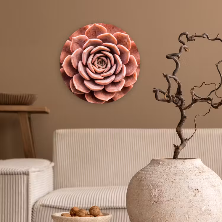Muurcirkel - Vetplant - Organisch - Roze — 2