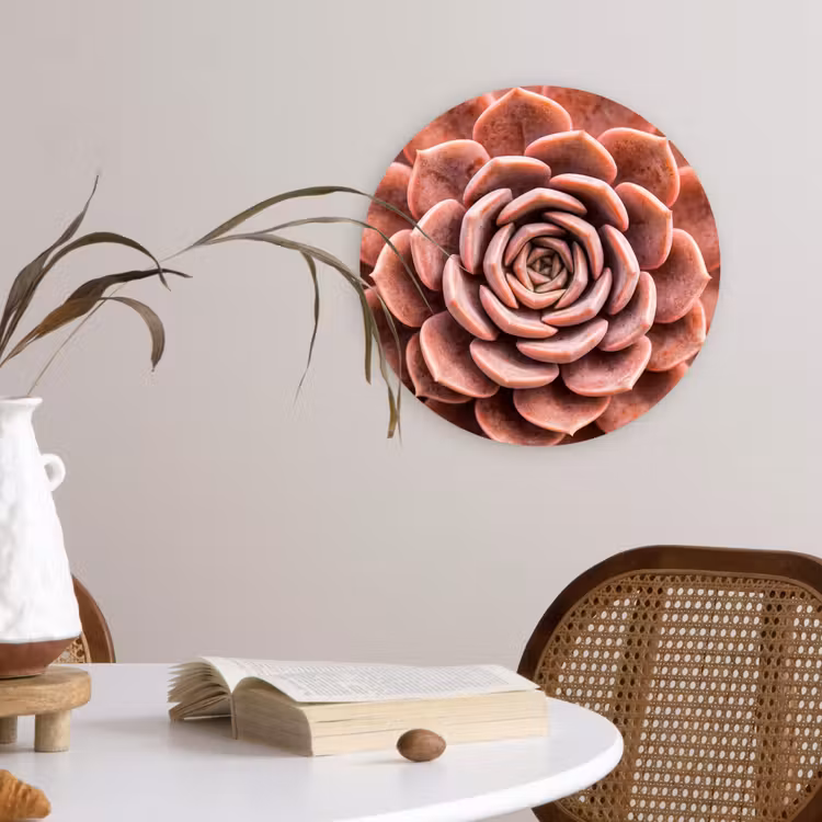Muurcirkel - Vetplant - Organisch - Roze — 4